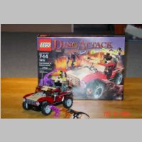 7475.JPG